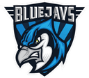 BLUEJAYS logo