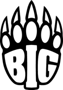 BIG logo